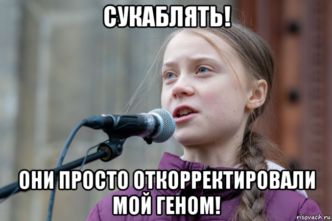 сукаблять! они просто откорректировали мой геном!, Мем Greta Thunberg