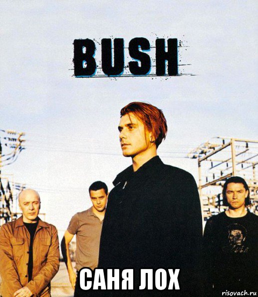  саня лох, Мем Группа Bush