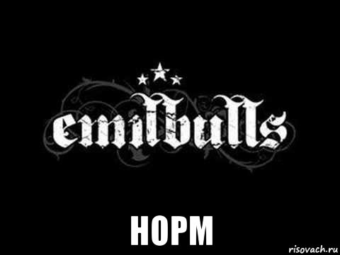  норм, Мем Группа Emilbulls