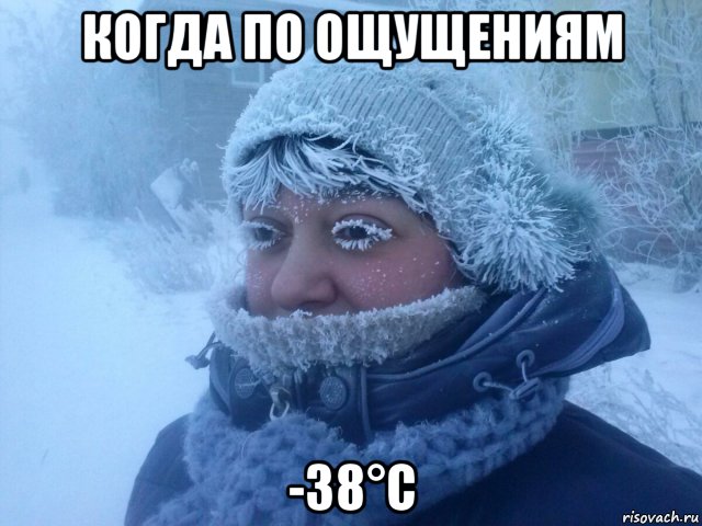 когда по ощущениям -38°c, Мем Холод