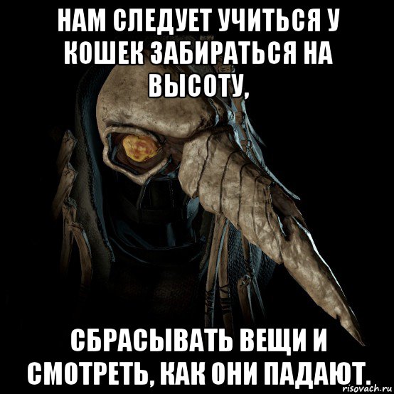 нам следует учиться у кошек забираться на высоту, сбрасывать вещи и смотреть, как они падают.