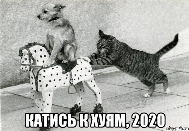  катись к хуям, 2020