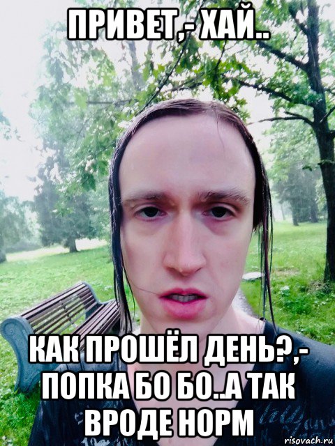 привет,- хай.. как прошёл день?,- попка бо бо..а так вроде норм, Мем Kawai Neko