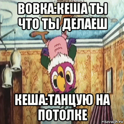 вовка:кеша ты что ты делаеш кеша:танцую на потолке