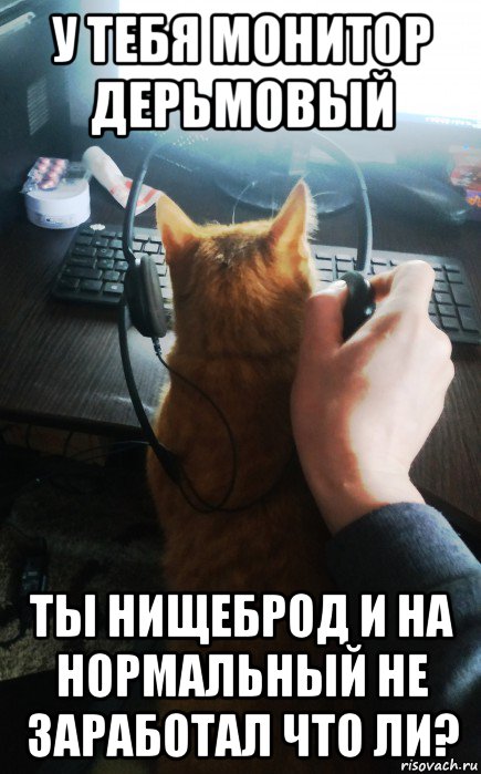 у тебя монитор дерьмовый ты нищеброд и на нормальный не заработал что ли?, Мем Киця