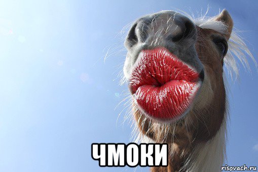  чмоки, Мем Кобыла Анжела