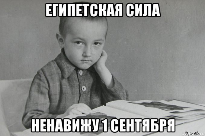 египетская сила ненавижу 1 сентября, Мем Коля