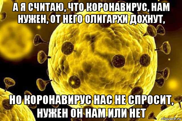 а я считаю, что коронавирус, нам нужен, от него олигархи дохнут, но коронавирус нас не спросит, нужен он нам или нет, Мем Коронавирус