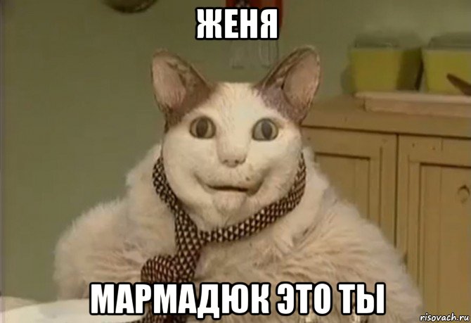 женя мармадюк это ты, Мем кот-упорот