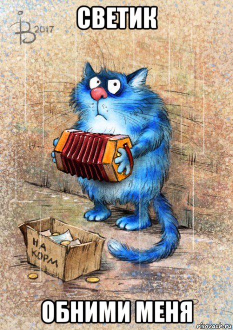 светик обними меня, Мем Кот