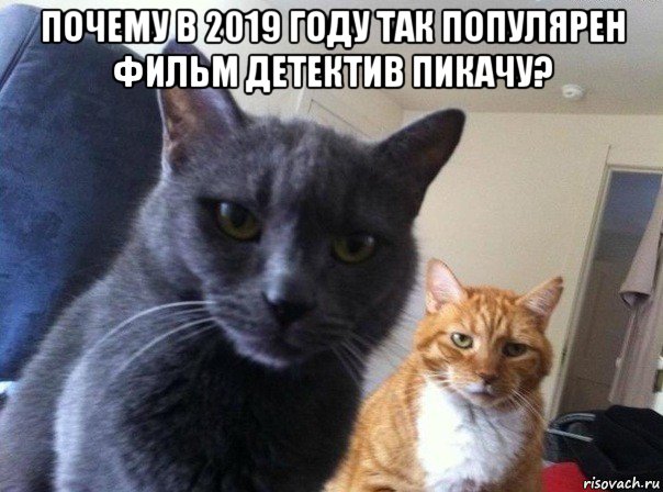 почему в 2019 году так популярен фильм детектив пикачу? , Мем  Два котэ