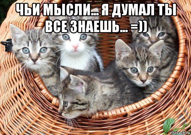 чьи мысли... я думал ты все знаешь... =)) , Мем Котировка из корзины