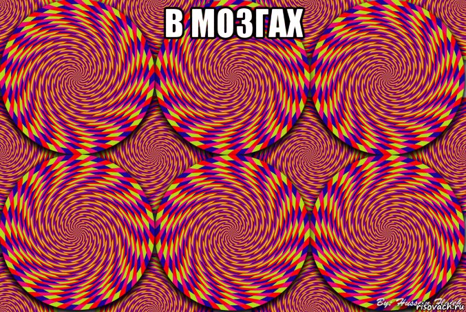 в мозгах , Мем Кружочки
