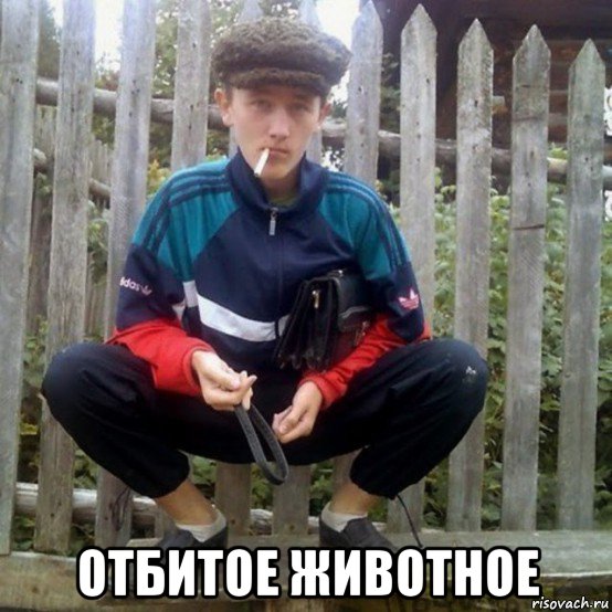  отбитое животное, Мем Кв