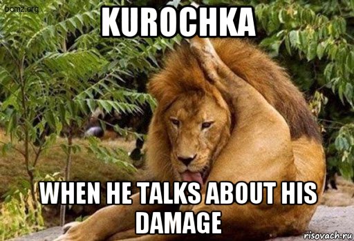 kurochka when he talks about his damage, Мем Лев