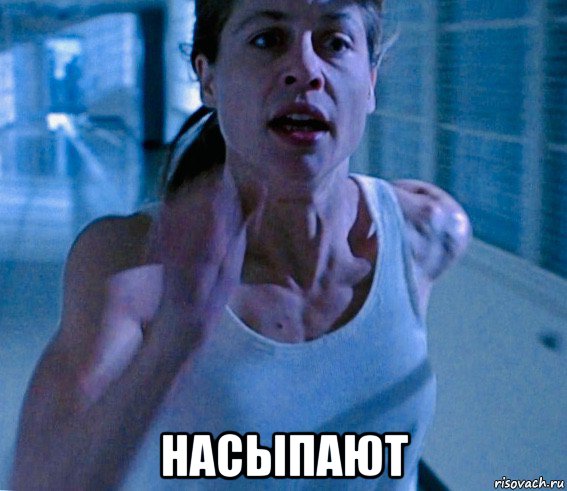  насыпают, Мем Linda Hamilton