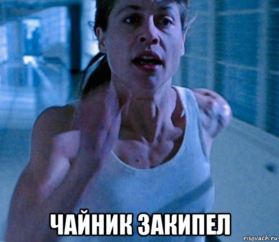  чайник закипел, Мем Linda Hamilton