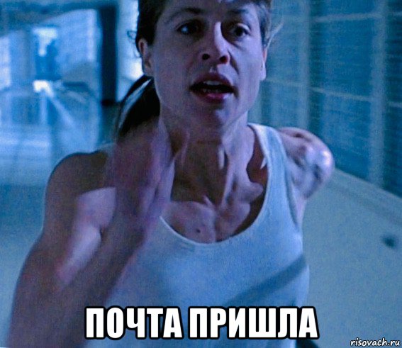  почта пришла, Мем Linda Hamilton