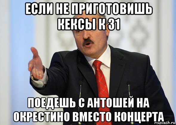 если не приготовишь кексы к 31 поедешь с антошей на окрестино вместо концерта, Мем лукашенко