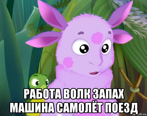  работа волк запах машина самолёт поезд