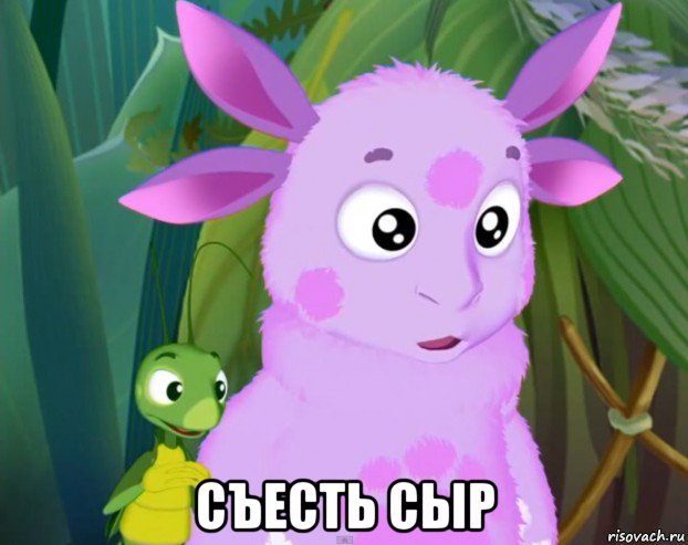  съесть сыр