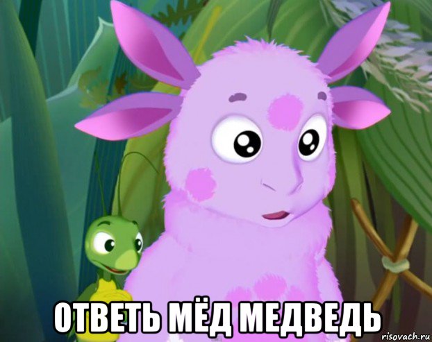  ответь мёд медведь