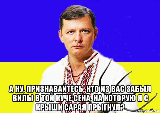  а ну, признавайтесь, кто из вас забыл вилы в той куче сена, на которую я с крыши сарая прыгнул?, Мем Ляшко