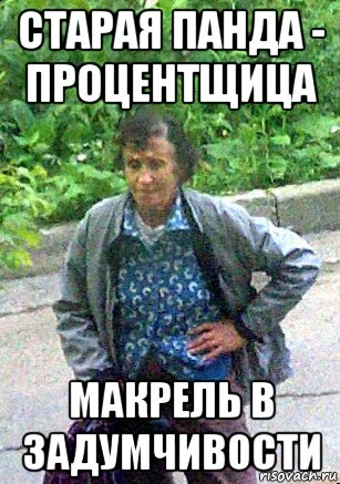 старая панда - процентщица макрель в задумчивости, Мем Макрель