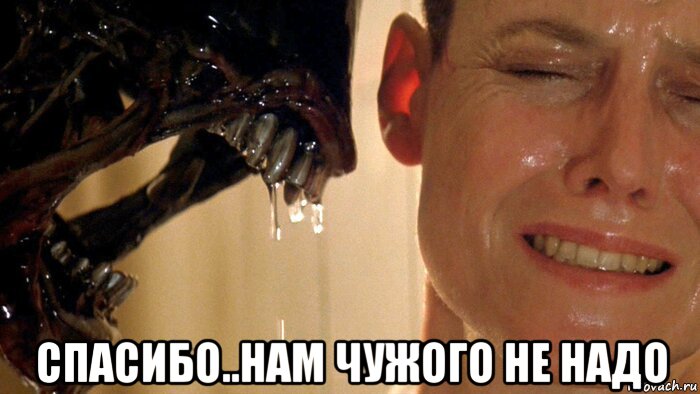  спасибо..нам чужого не надо, Мем Маша