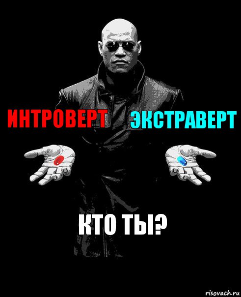 Интроверт Экстраверт Кто ты?