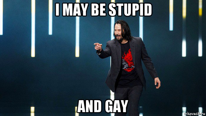 i may be stupid and gay, Мем Мем