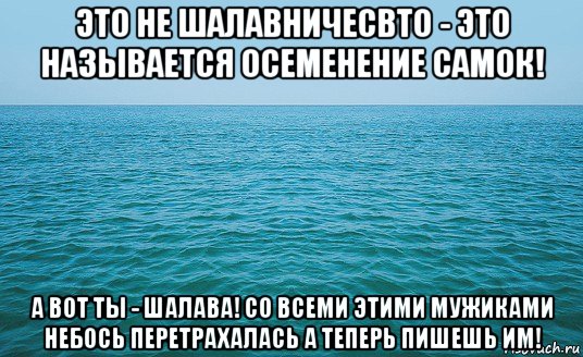 это не шалавничесвто - это называется осеменение самок! а вот ты - шалава! со всеми этими мужиками небось перетрахалась а теперь пишешь им!, Мем Море