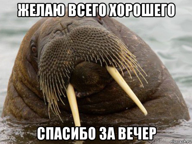 желаю всего хорошего спасибо за вечер