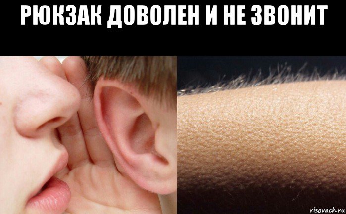 рюкзак доволен и не звонит 