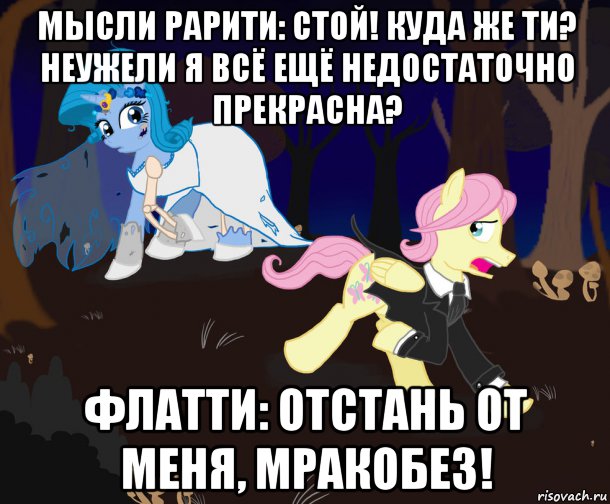 мысли рарити: стой! куда же ти? неужели я всё ещё недостаточно прекрасна? флатти: отстань от меня, мракобез!, Мем My little pony
