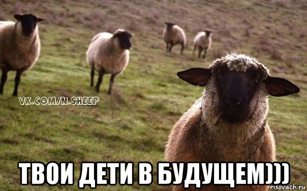  твои дети в будущем))), Мем  Наивная Овца