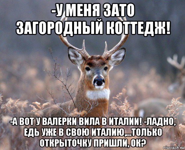 -у меня зато загородный коттедж! -а вот у валерки вила в италии! -ладно, едь уже в свою италию,...только открыточку пришли, ок?, Мем   Наивный олень