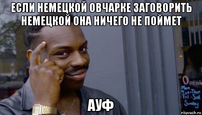 если немецкой овчарке заговорить немецкой она ничего не поймет ауф, Мем Не делай не будет