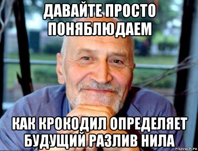 давайте просто поняблюдаем как крокодил определяет будущий разлив нила, Мем Николай Дроздов