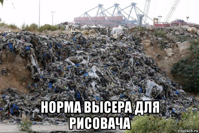  норма высера для рисовача