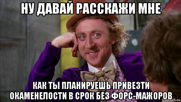 ну давай расскажи мне как ты планируешь привезти окаменелости в срок без форс-мажоров, Мем Ну давай расскажи (Вилли Вонка)