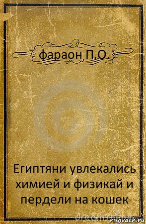 фараон П.О. Египтяни увлекались химией и физикай и пердели на кошек