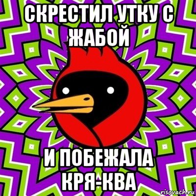 скрестил утку с жабой и побежала кря-ква, Мем Омская птица