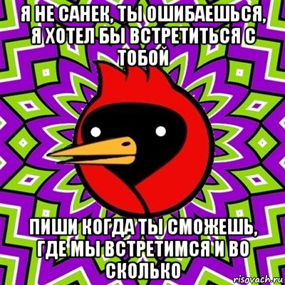 я не санек, ты ошибаешься, я хотел бы встретиться с тобой пиши когда ты сможешь, где мы встретимся и во сколько, Мем Омская птица