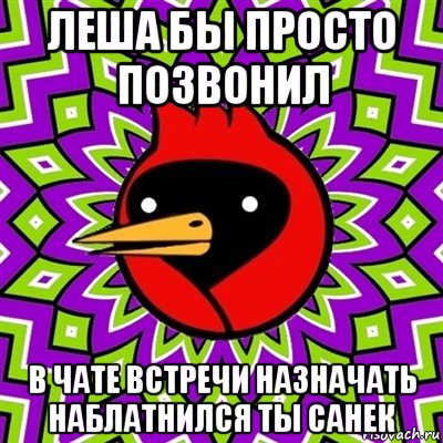 леша бы просто позвонил в чате встречи назначать наблатнился ты санек, Мем Омская птица