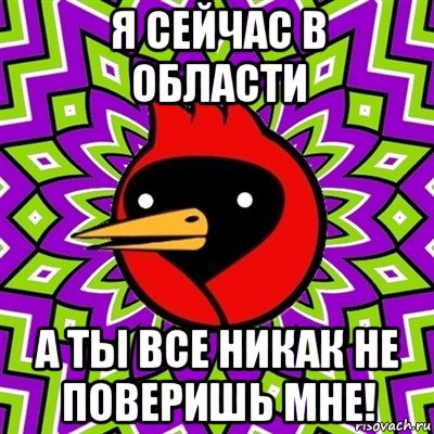 я сейчас в области а ты все никак не поверишь мне!, Мем Омская птица