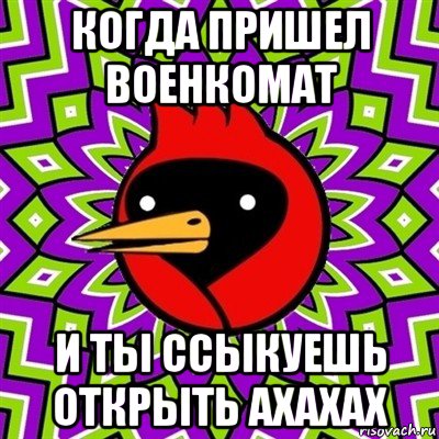 когда пришел военкомат и ты ссыкуешь открыть ахахах, Мем Омская птица