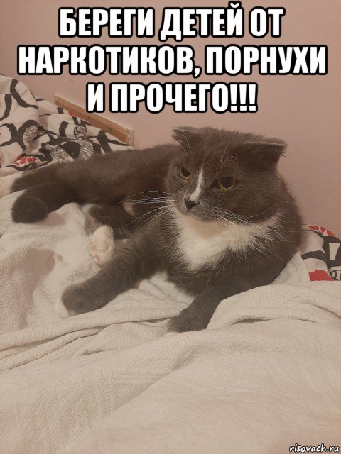 береги детей от наркотиков, порнухи и прочего!!! , Мем Пашуха