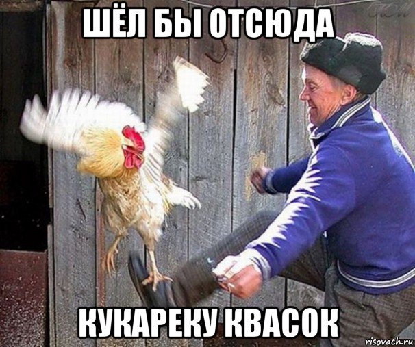 шёл бы отсюда кукареку квасок