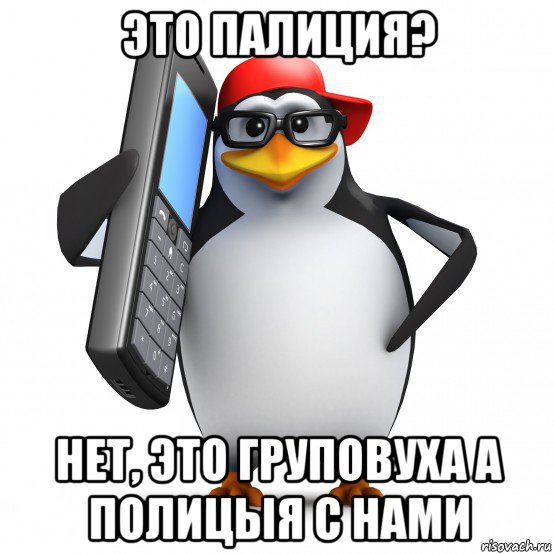 это палиция? нет, это груповуха а полицыя с нами, Мем   Пингвин звонит